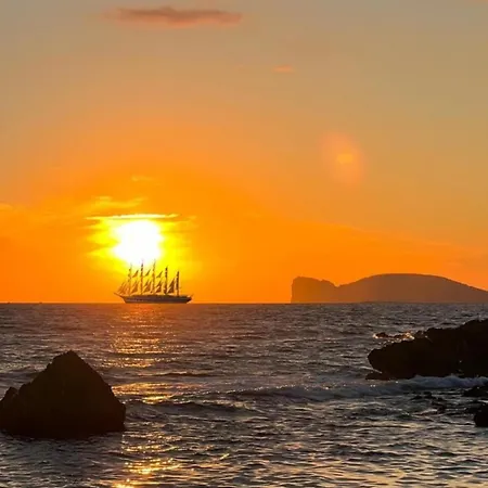 Dream Vision Apartment