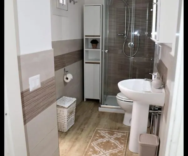 Dream Vision * 阿尔盖罗