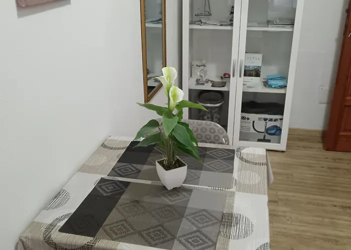 Dream Vision 阿尔盖罗